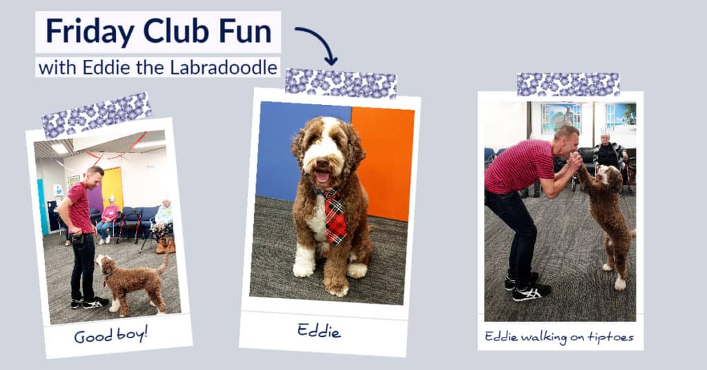 Friday Club Fun with Eddie the Labradoodle