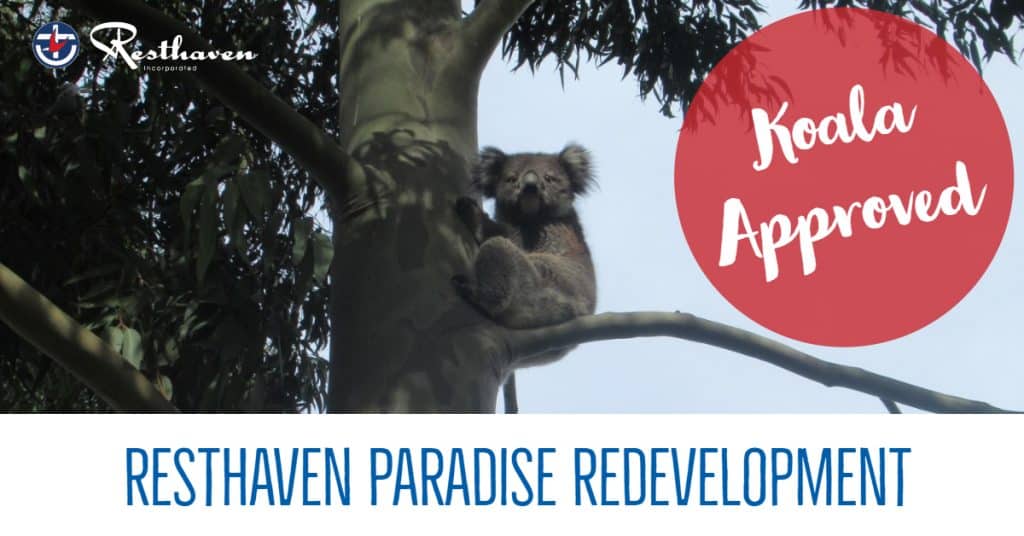 Resthaven Paradise redevelopment: local koala approved