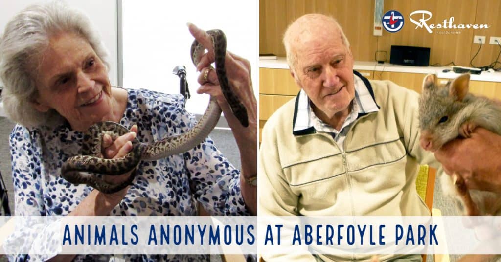 Animals Anonymous at Aberfoyle Park