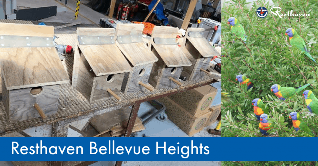 Redevelopment plans for Resthaven Bellevue Heights