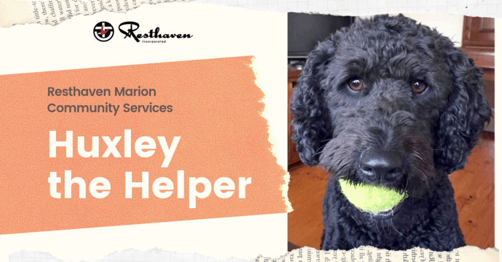 Huxley the Helper | Aged Care Online