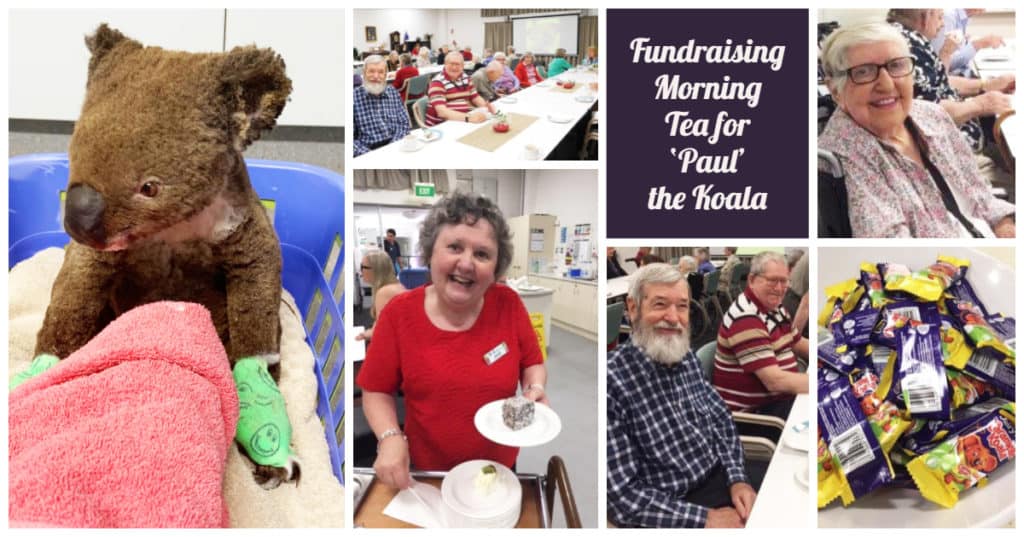 Resthaven Westbourne Park rallies for Paul the Koala