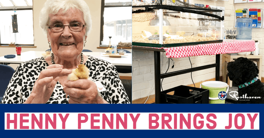 Henny Penny Brings Joy to Resthaven Clients | Aged Care Online