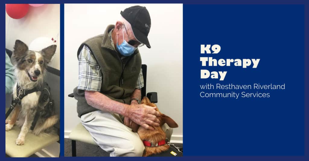 K9 Therapy Day with Resthaven Riverland Community Services