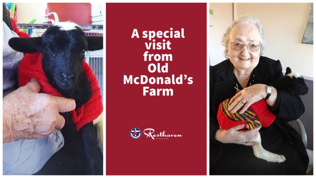 Clients special visit from Old McDonald’s Farm