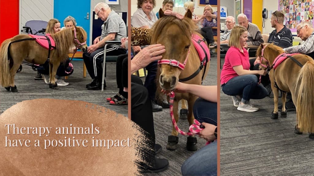 Therapy animals have a positive impact