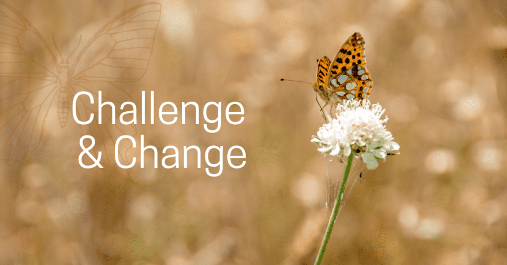 Orange butterfly sitting on a white flower and the words Challenge and Change are in white to its left