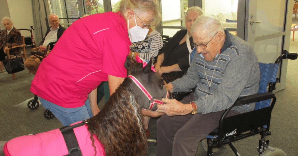 Equine Therapy’s role in aged care