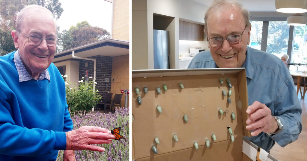 Brian Measday spreads his wings with butterfly breeding program